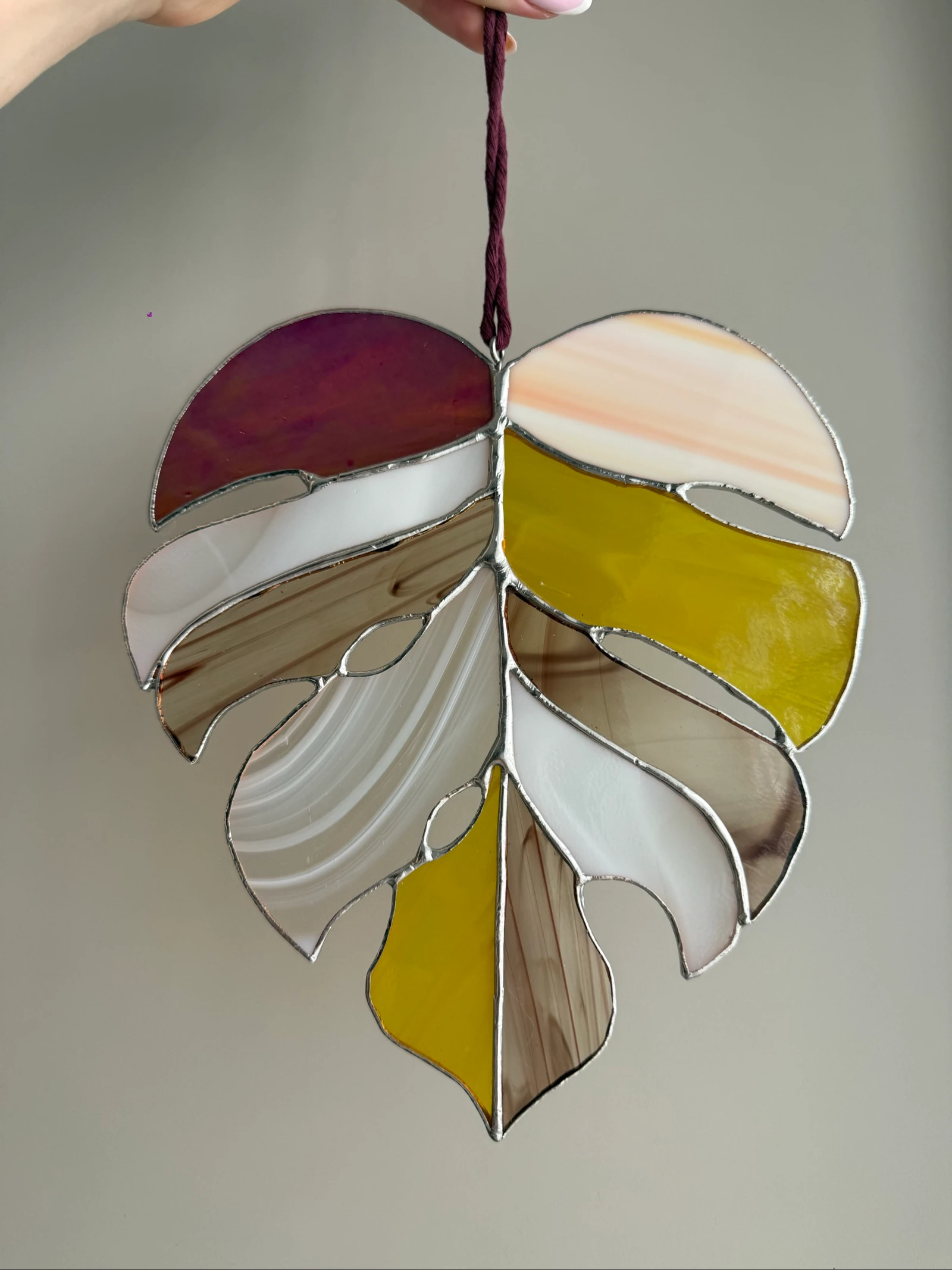 Feuille monstrea  – photo 4